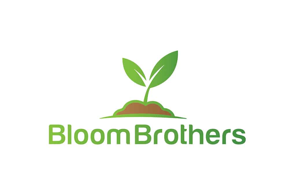 Bloom brothers, Pittsfield, MA